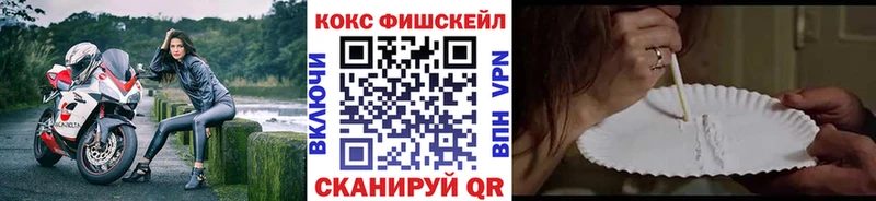 Cocaine Fish Scale  ссылка на мегу ССЫЛКА  Одинцово 