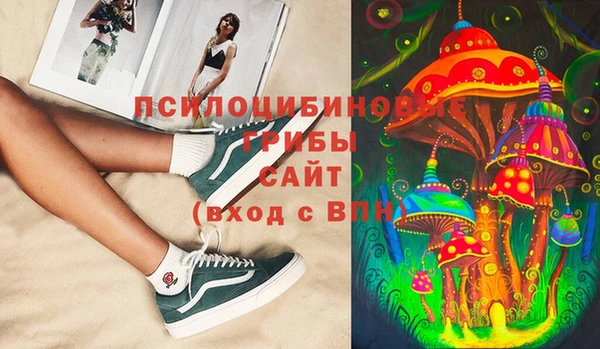 ПСИЛОЦИБИНОВЫЕ ГРИБЫ Алексин