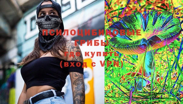 ПСИЛОЦИБИНОВЫЕ ГРИБЫ Алексин