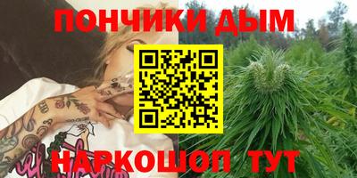 mdpv Бердск