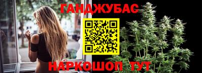 mdpv Бердск