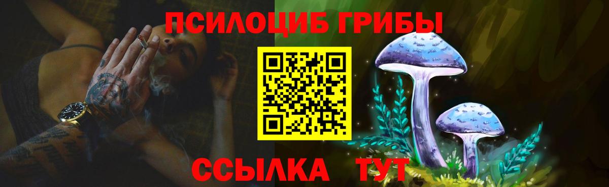 Галлюциногенные грибы Psilocybine cubensis  Вход с VPN  Одинцово 